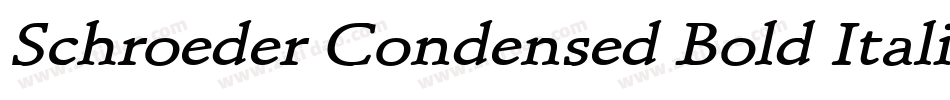 Schroeder Condensed Bold Italic字体转换